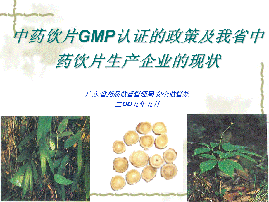 中药饮片GMP认证的政策.ppt_第1页