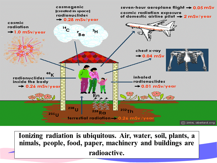 电离辐射生物学效应基础.ppt_第2页