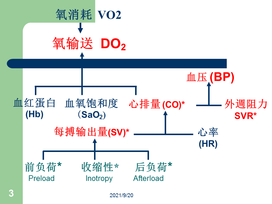 血流动力学监测技术.ppt_第3页