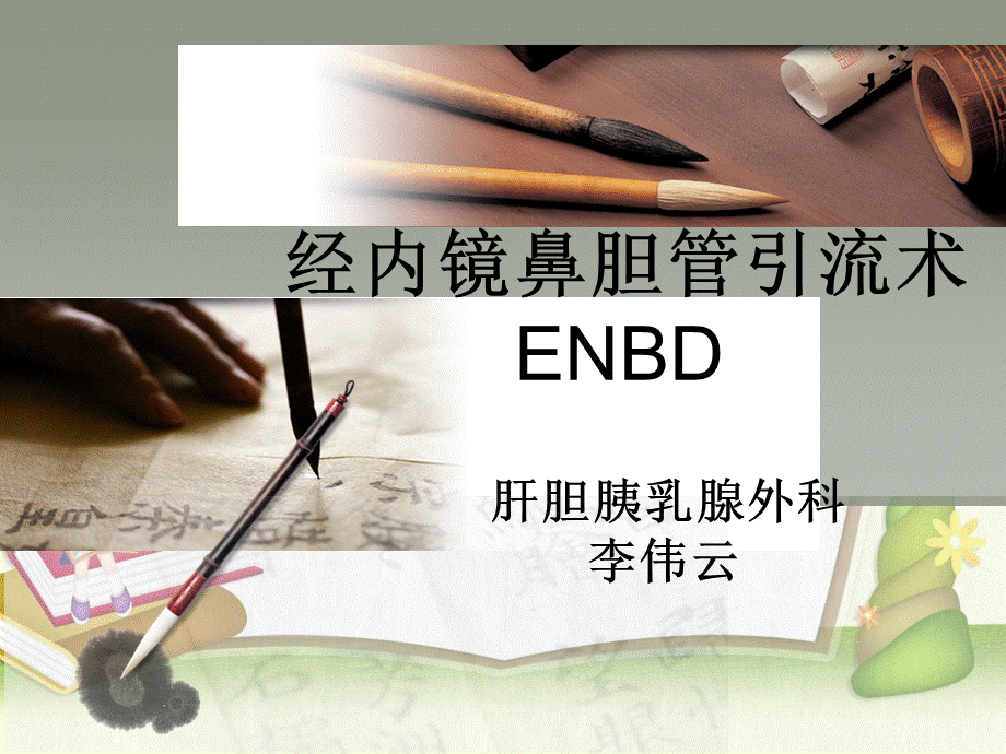 鼻胆管护理.ppt1摘要.ppt_第1页