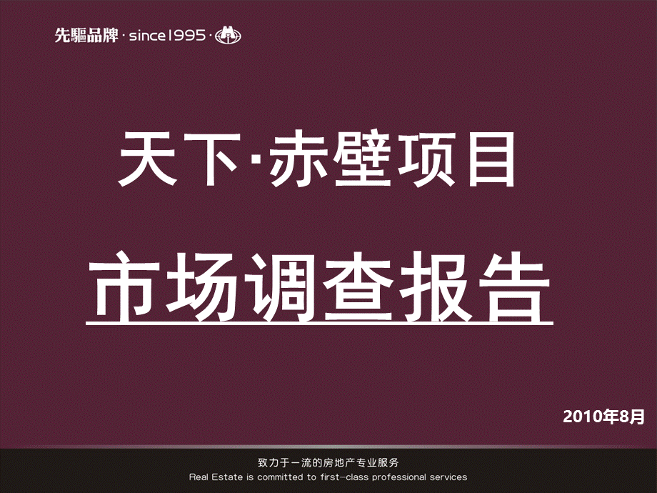 天下赤壁项目市场调查报告80P.ppt_第1页