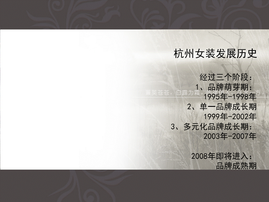 杭州女装品牌水伊人品牌发展战略.ppt_第3页