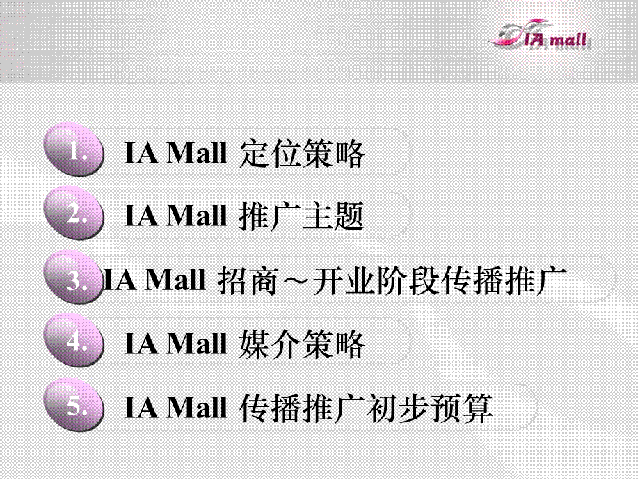 深圳皇庭IA Mall开业阶段传播推广策略方案(含平面).ppt_第2页