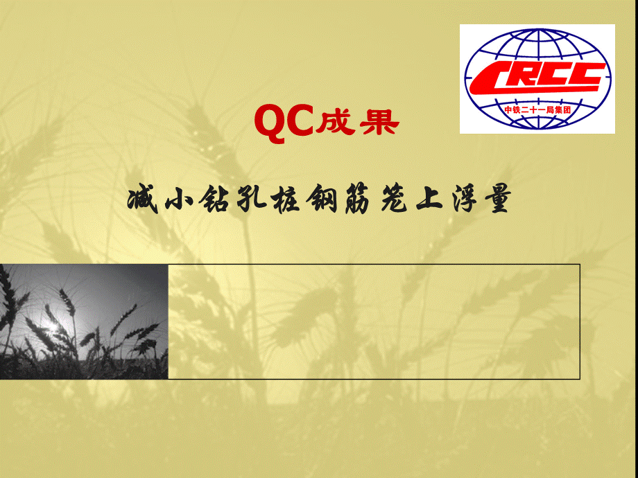 减小钻孔桩钢筋笼上浮量.ppt.ppt_第1页