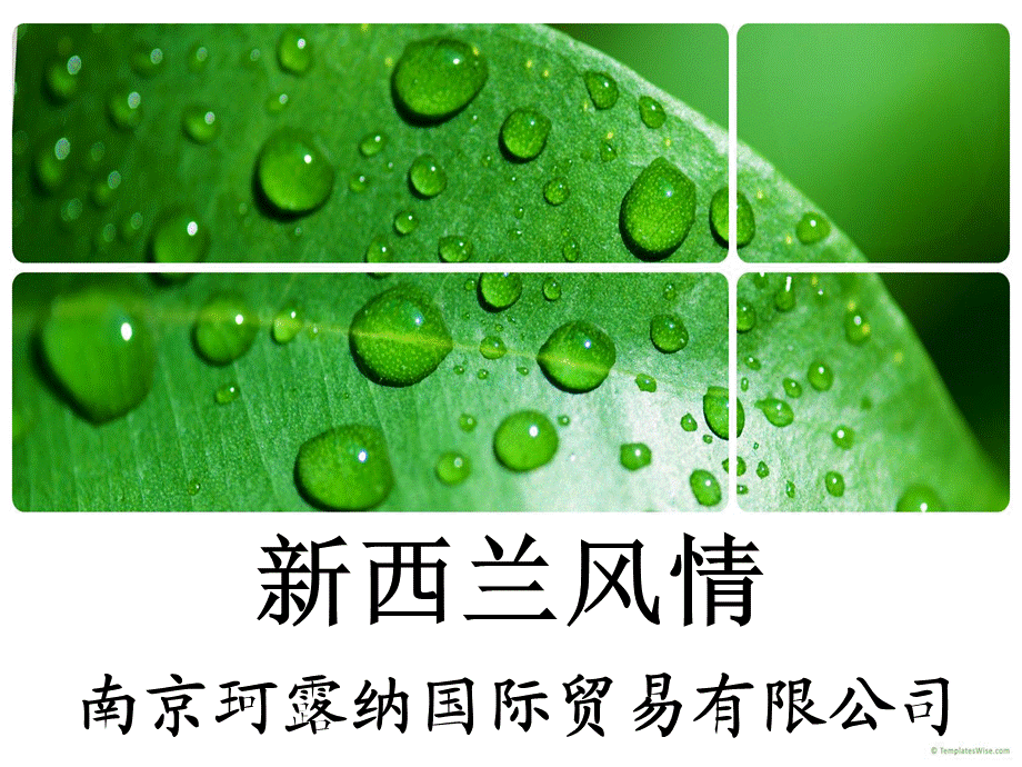 走进新西兰.ppt.ppt_第1页