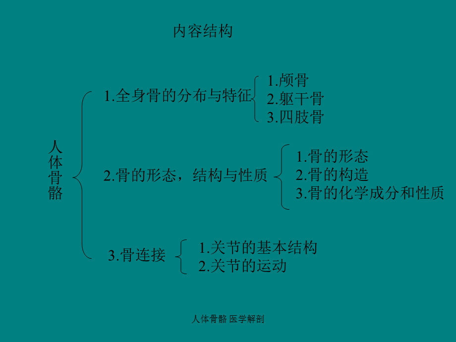 最新人体骨骼 医学解剖PPT.ppt_第2页