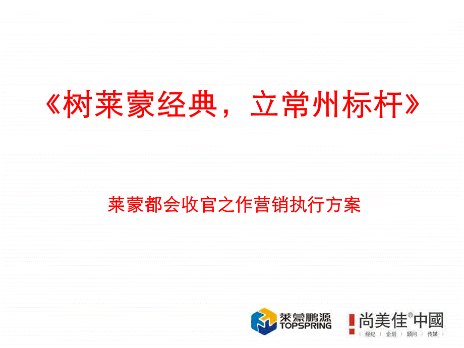 中国·常州 【莱蒙时代】营销执行方案 189页.ppt_第2页