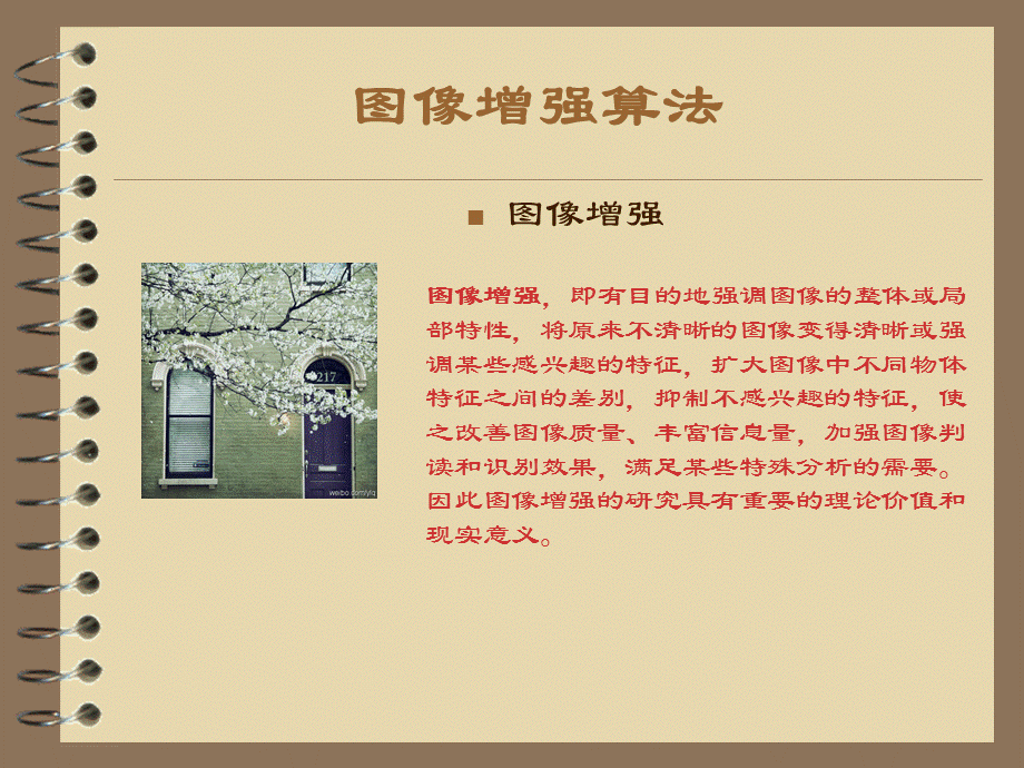 基于粒子群算法的图像增强(ppt).ppt_第2页