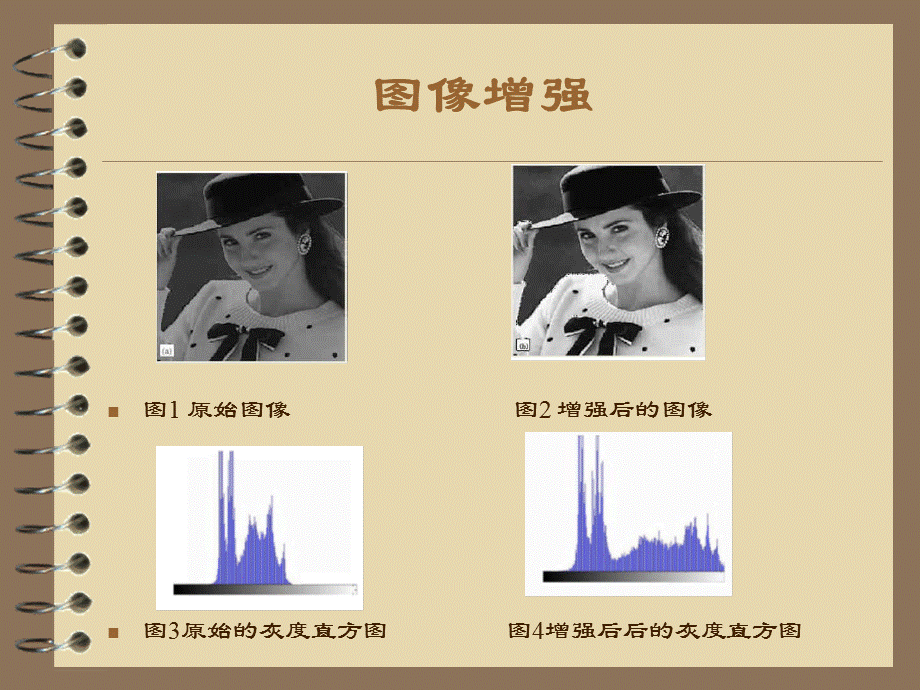 基于粒子群算法的图像增强(ppt).ppt_第3页