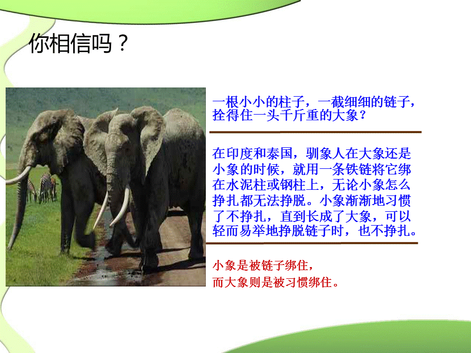 习惯养成主题班会——让优秀成为一种习惯.ppt_第3页