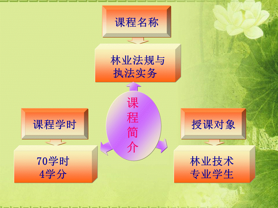 林业法规与执法实务.ppt_第3页