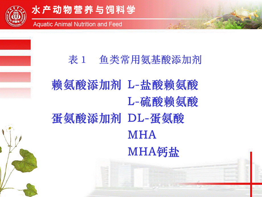 第十一章营养性添加剂原料.ppt_第3页