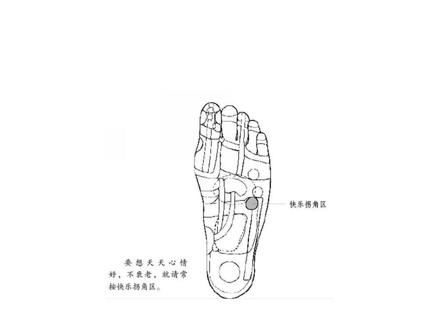 强身治病脚部按摩图.ppt_第3页