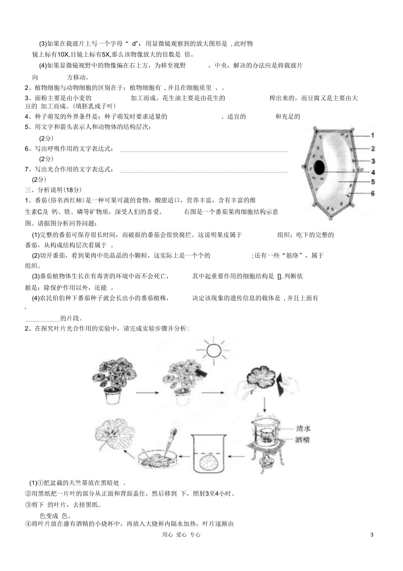 广西贵港市平南县大安镇第二初级中学2011-2012学年七年级生物上学期期末考试试题(无答案)人教新课标版.docx_第3页