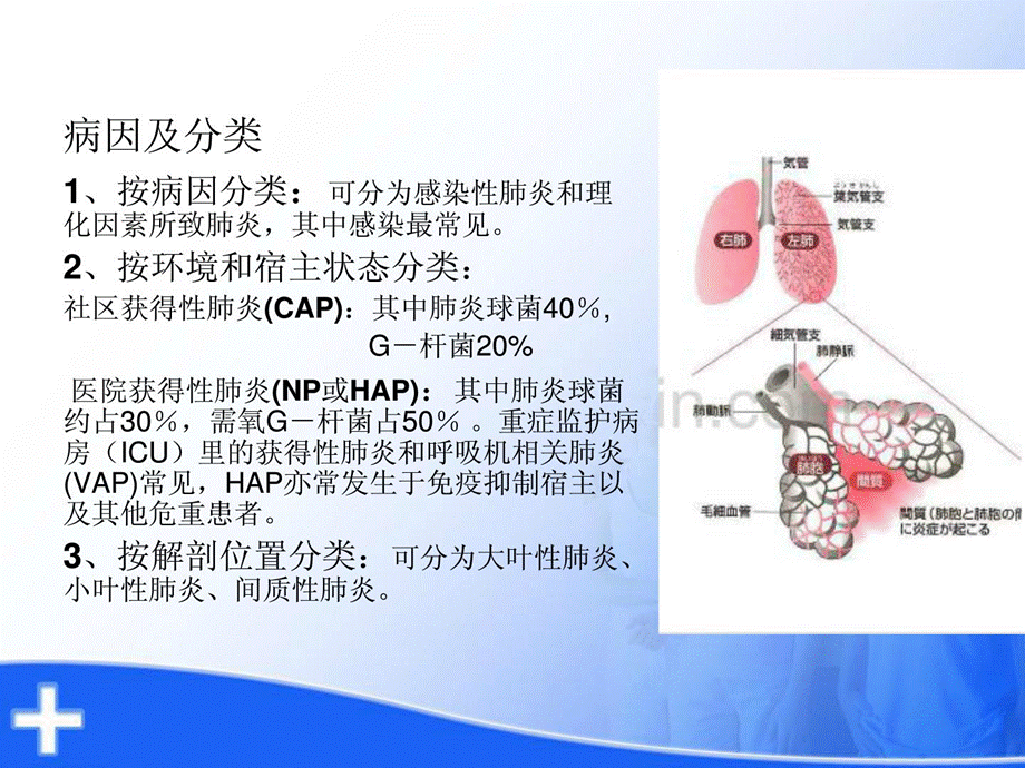 [精彩]重症肺炎 的护理.ppt_第3页