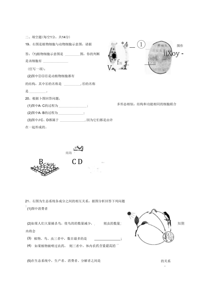 湖北省宜城市2012-2013学年七年级生物上学期期中考试试题.docx_第3页