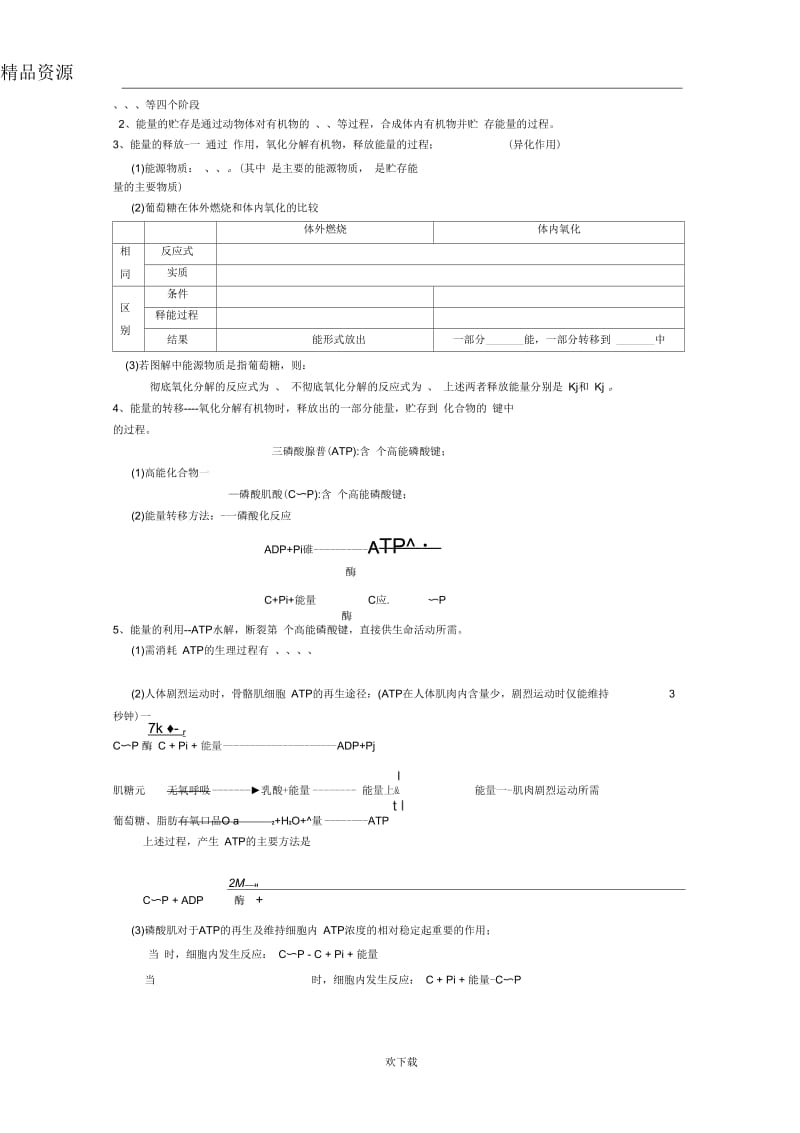 《能量代谢》课堂教学提纲.docx_第3页