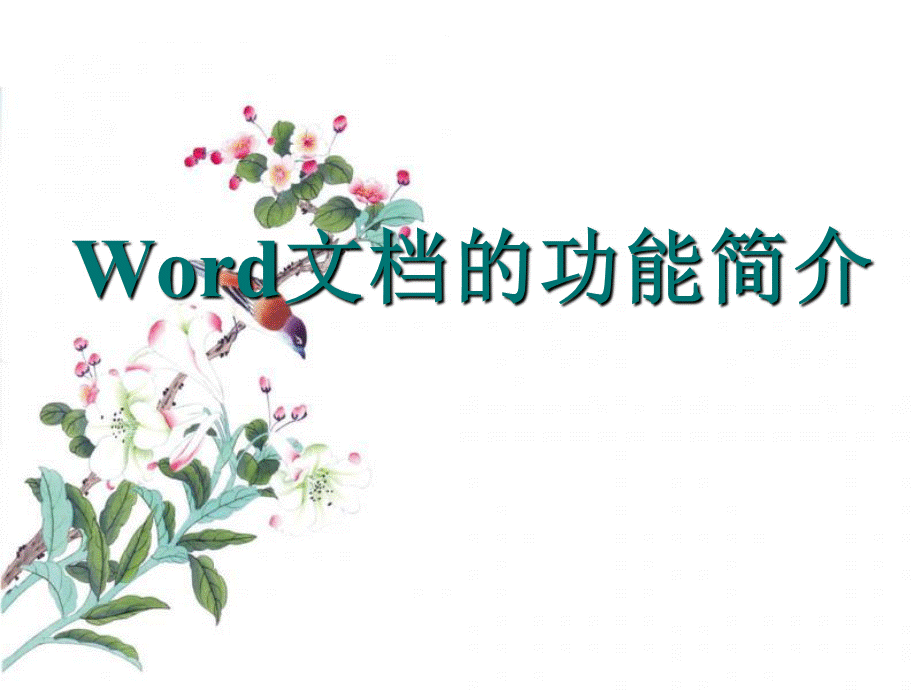 Word文档的功能简介（经典实用）.ppt_第1页