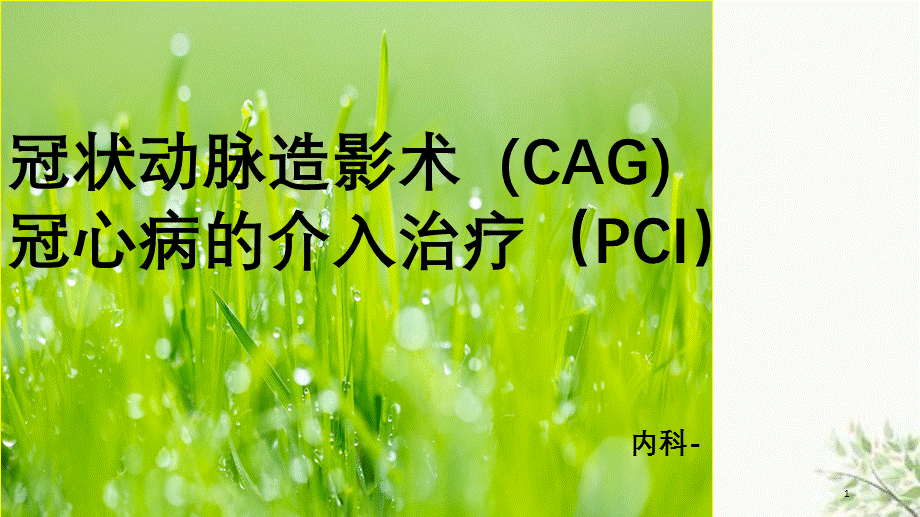 冠状动脉造影及冠心病的介入治疗课件.ppt_第1页