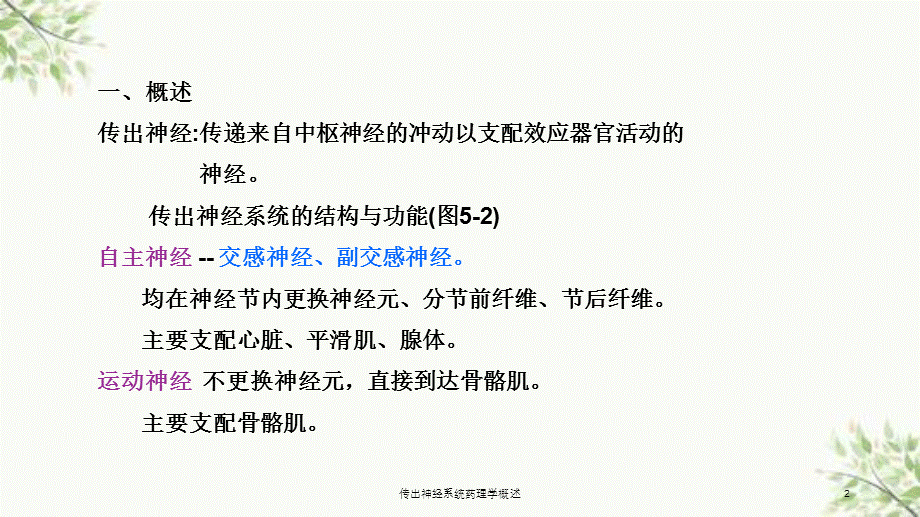 传出神经系统药理学概述课件.ppt_第2页