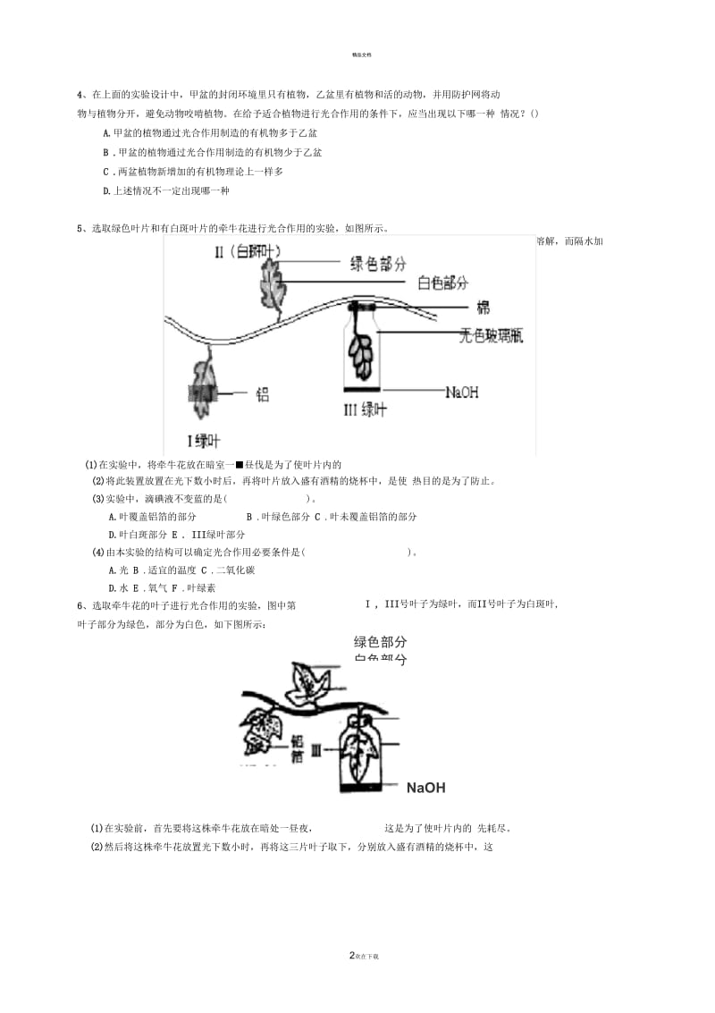 绿色植物的三大作用.docx_第2页