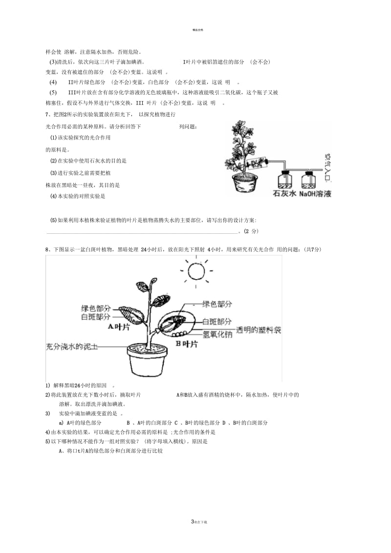 绿色植物的三大作用.docx_第3页