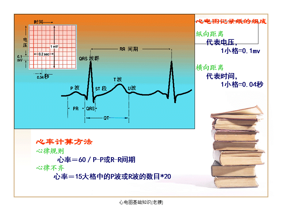 心电图基础知识(老腰)（经典实用）.ppt_第2页