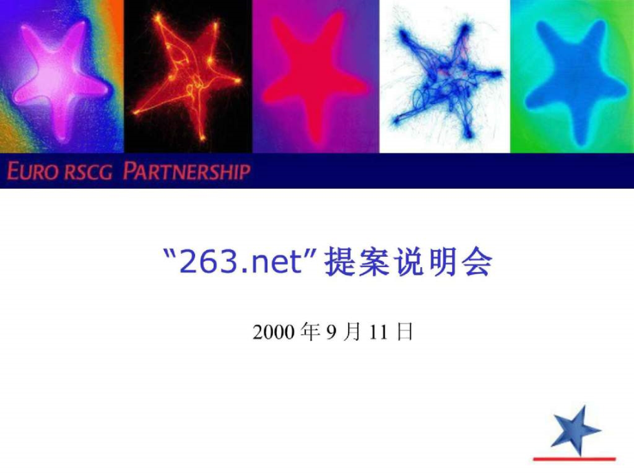 263.net提案说明会.ppt_第1页