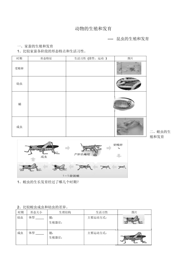 动物的生殖和发育.docx_第1页