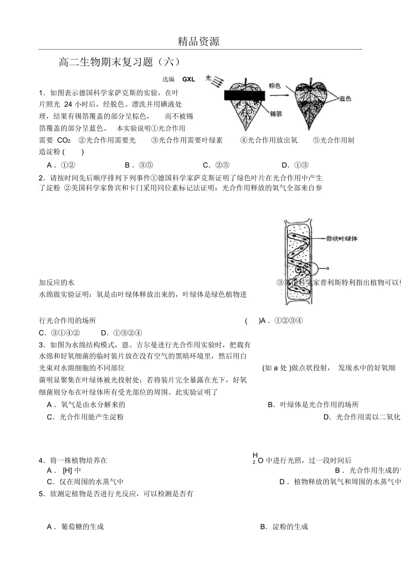 高二生物期末复习题(六)光合作用.docx_第1页