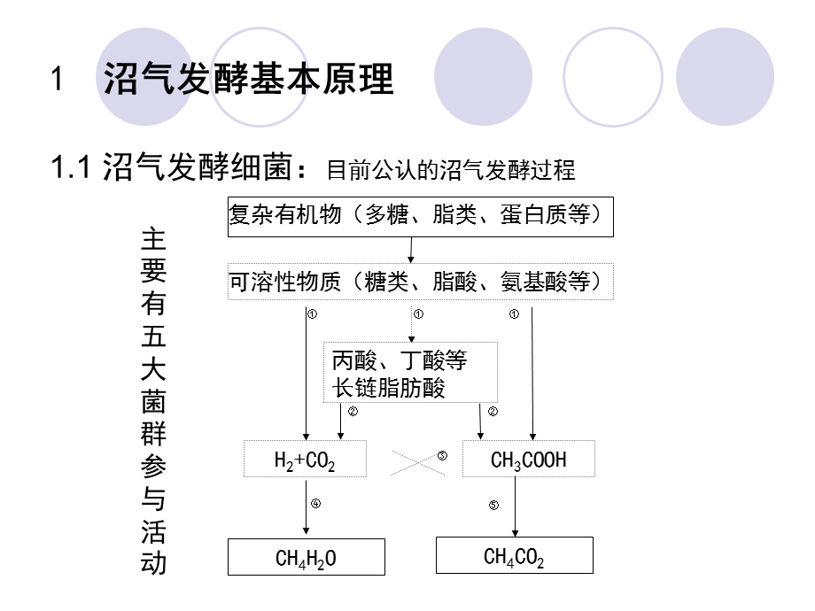 周孟津沼气发酵的基本原理和工艺.ppt_第3页