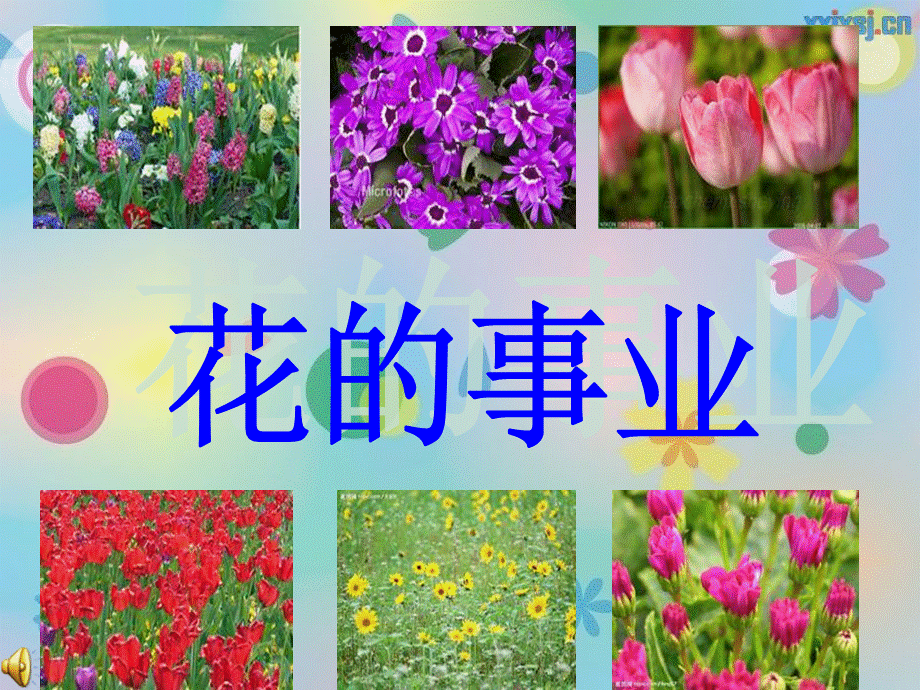 数字故事《花的事业》.ppt_第1页