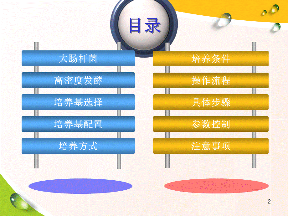 大肠杆菌培养基的优化及发酵罐操作.ppt_第2页