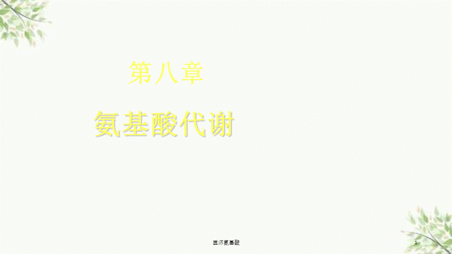 医师氨基酸课件.ppt_第1页