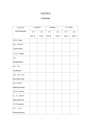 利润预算表.docx