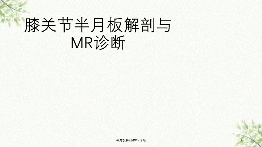 半月板解剖与MR诊断课件.ppt_第1页