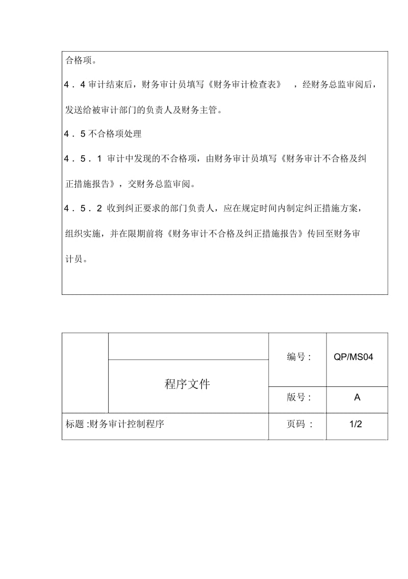 财务审计控制程序.docx_第2页