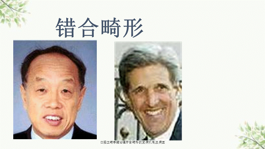 口腔正畸学绪论错牙合畸形的发病机制及病因课件.ppt_第3页