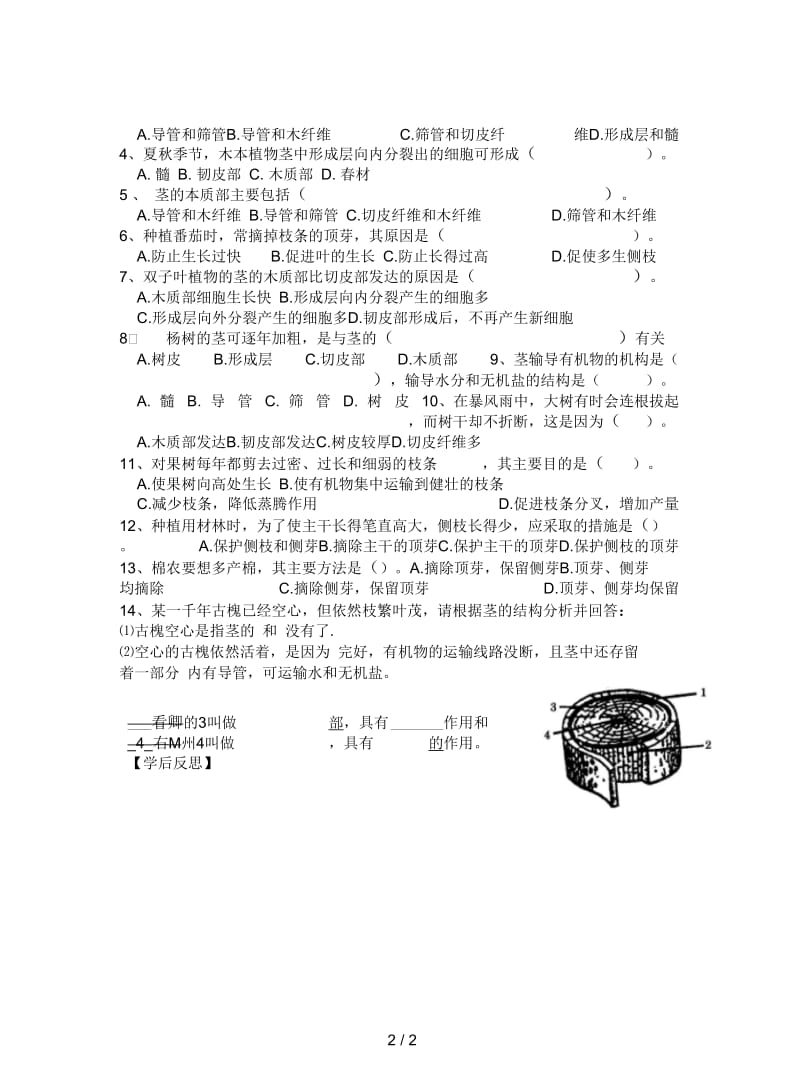 2019最新济南版生物八上第六节《芽的类型和结构》学案四.docx_第2页