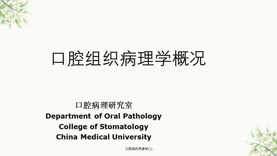 口腔组织病理学(1)课件.ppt_第1页