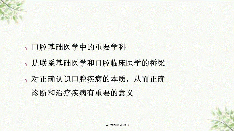 口腔组织病理学(1)课件.ppt_第2页