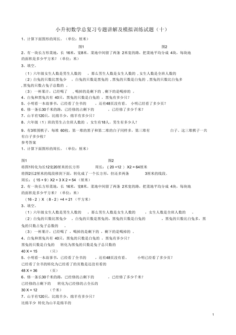 小升初数学总复习专题讲解及模拟训练试题(十).docx_第1页