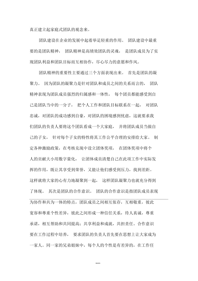 建设企业高效团队的重要性.docx_第2页