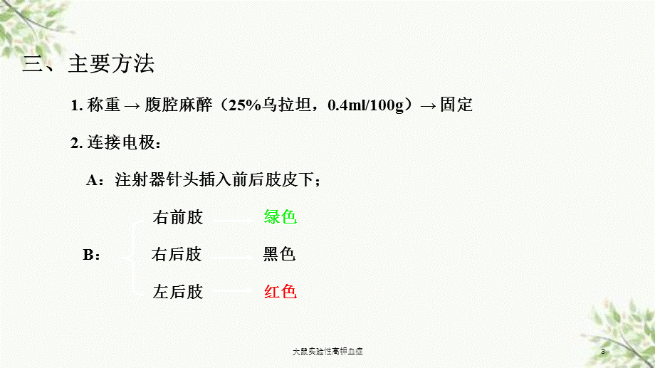 大鼠实验性高钾血症课件.ppt_第3页