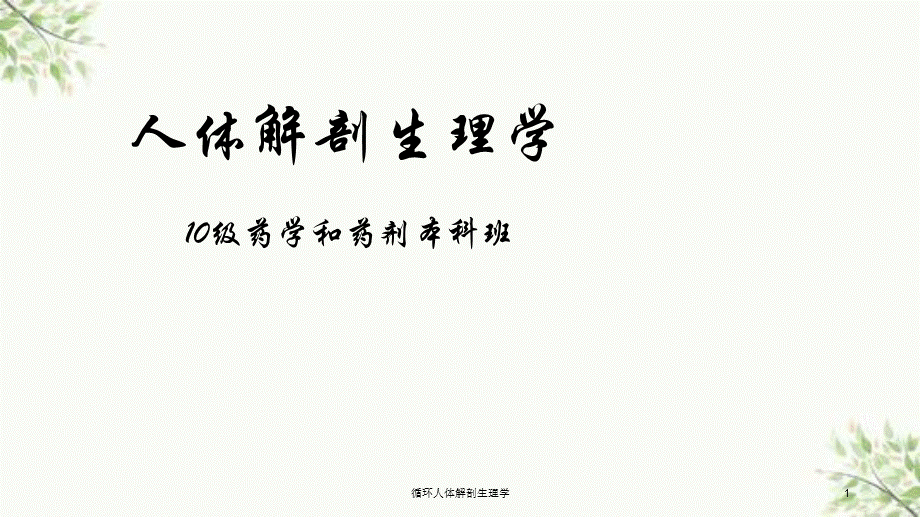 循环人体解剖生理学课件.ppt_第1页