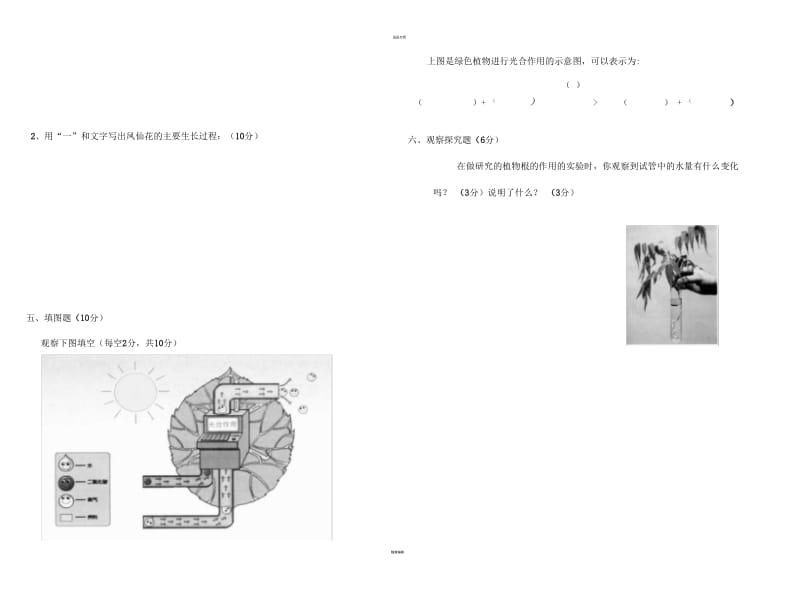 带答案-教科版科学三年级下册第一单元试卷.docx_第3页