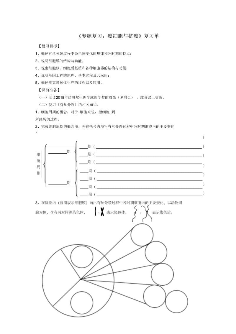 有丝分裂的过程.docx_第1页