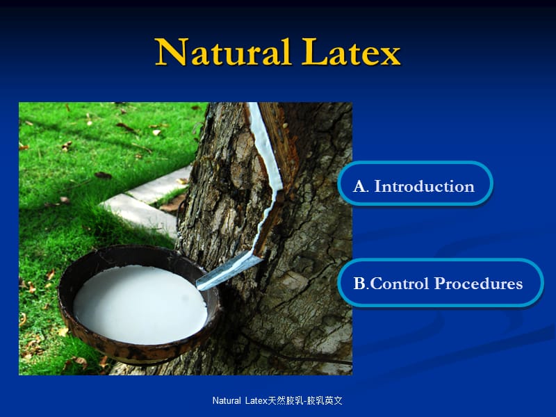 Natural Latex天然胶乳-胶乳英文.ppt_第2页