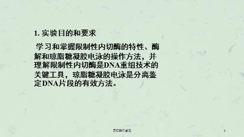 质粒酶切鉴定课件.ppt_第2页