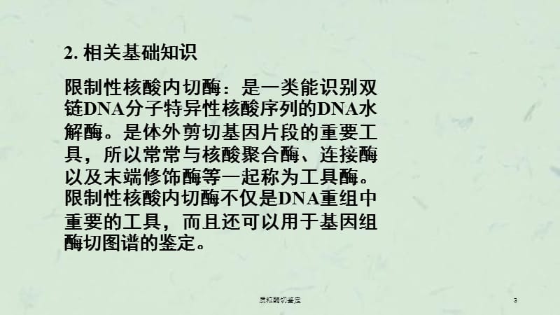 质粒酶切鉴定课件.ppt_第3页